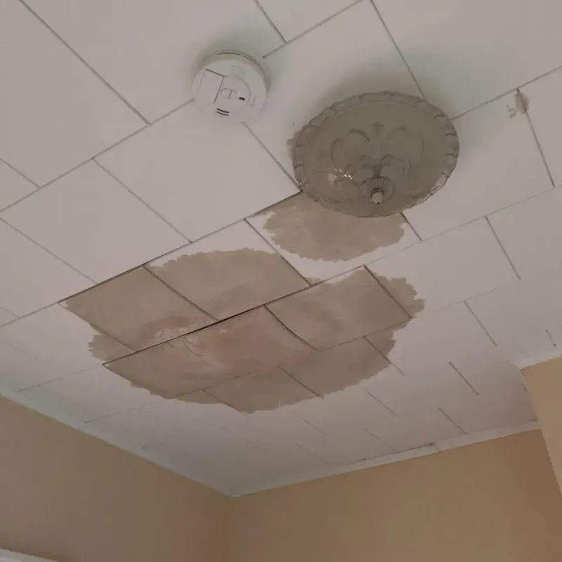 Ceiling Water Damage Repair in Hancock County, TN