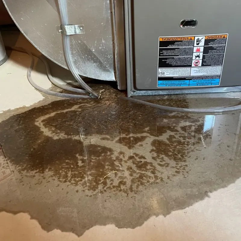 Pipe Burst and Leak Restoration in Hancock County, TN