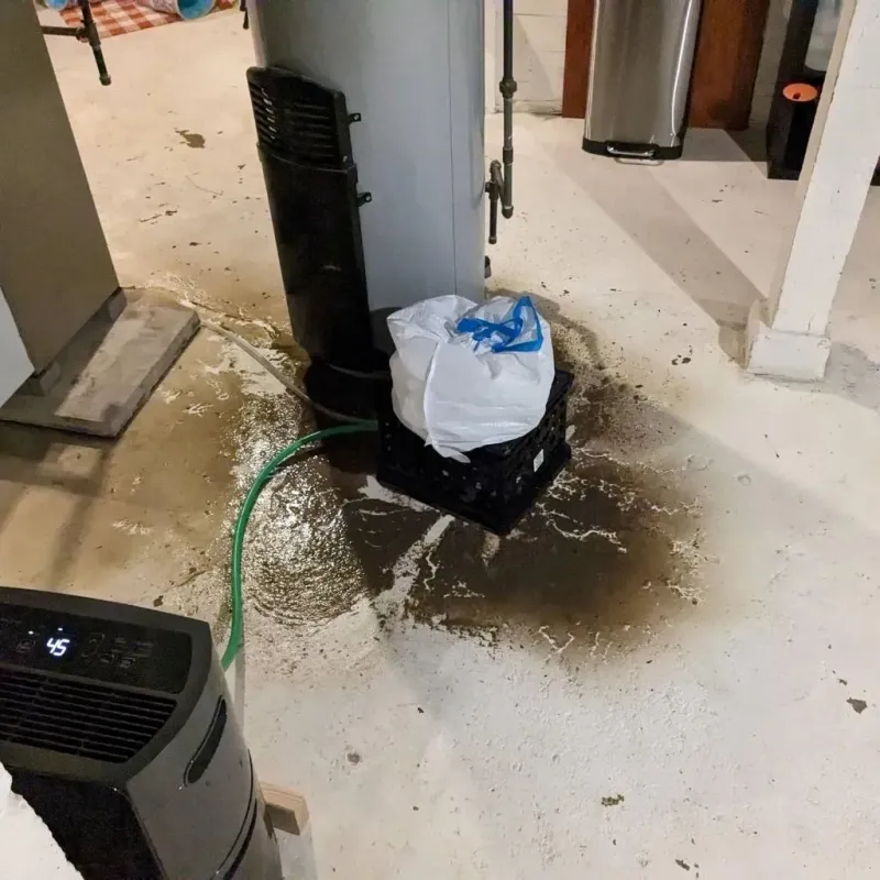 Sewage Backup Cleanup Service in Hancock County, TN